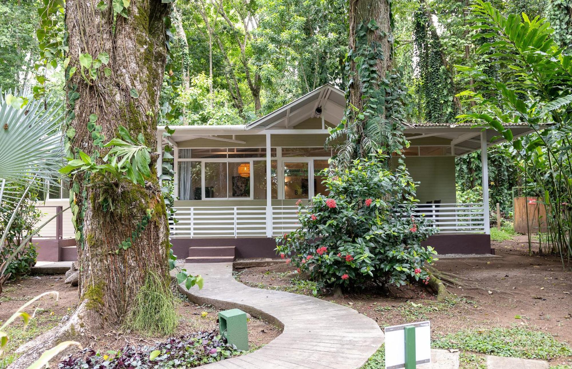 Jaguar Inn Bungalows Puerto Viejo de Talamanca Bagian luar foto