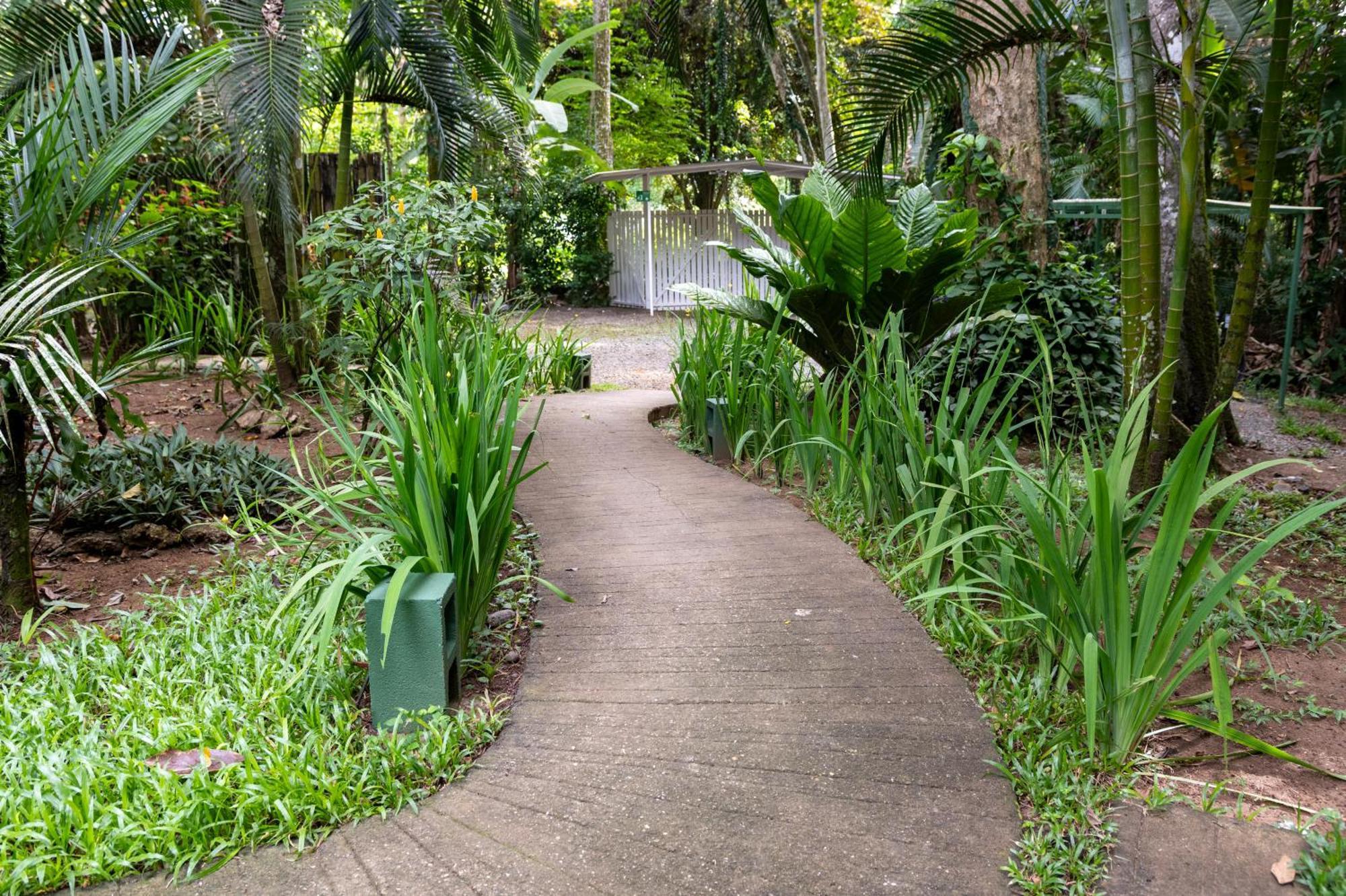 Jaguar Inn Bungalows Puerto Viejo de Talamanca Bagian luar foto