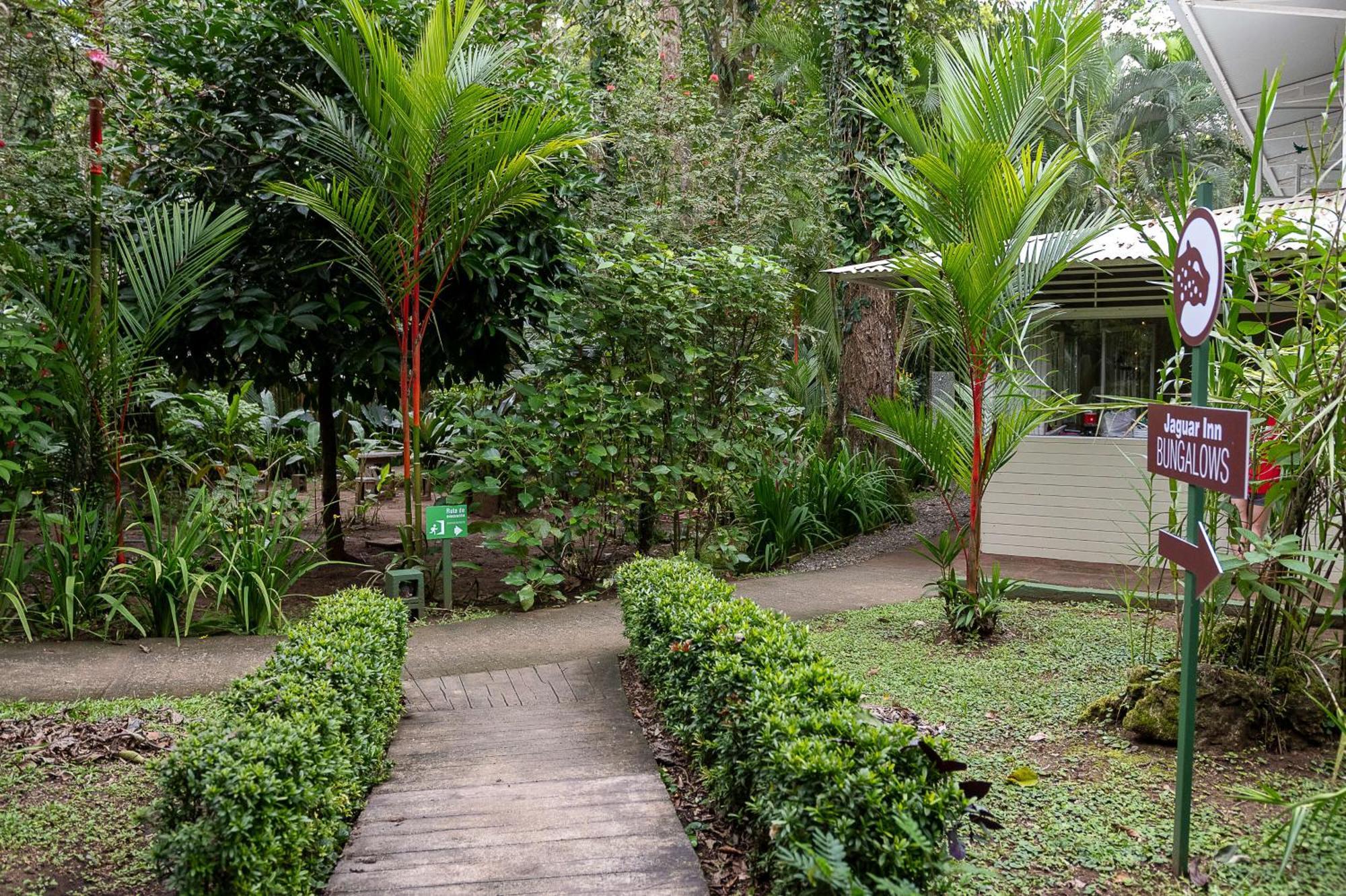 Jaguar Inn Bungalows Puerto Viejo de Talamanca Bagian luar foto