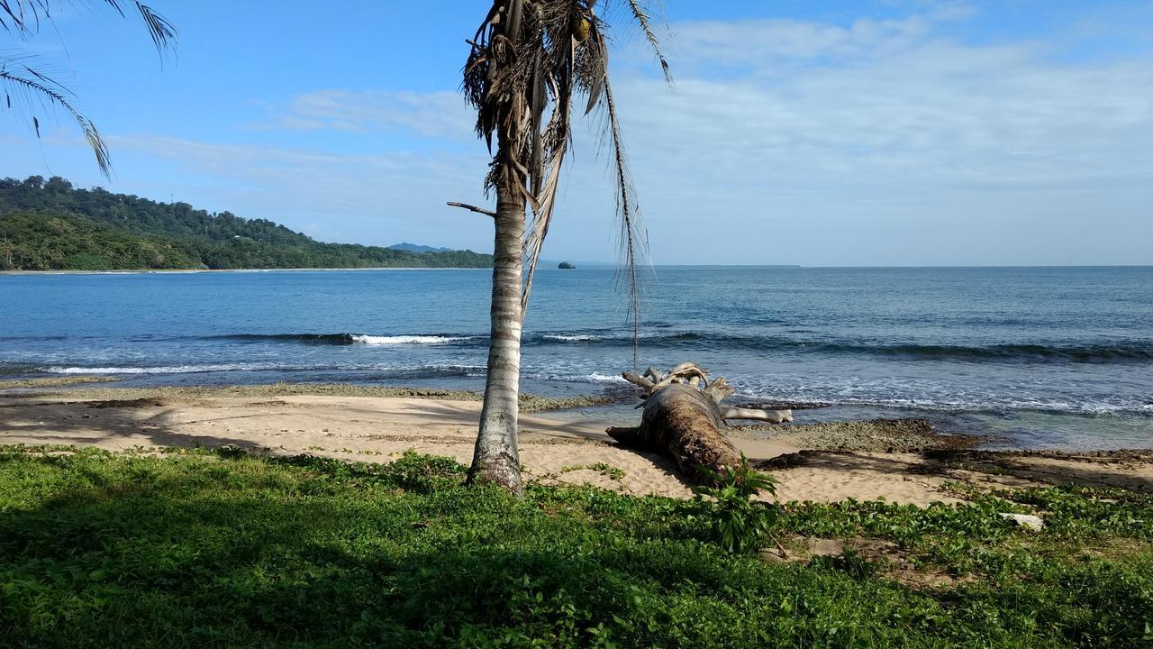 Jaguar Inn Bungalows Puerto Viejo de Talamanca Bagian luar foto